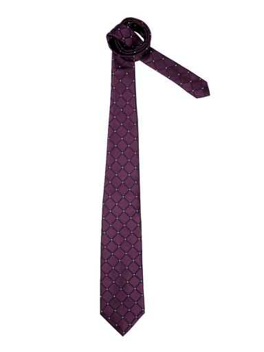 Peter England Men Elite Purple Tie