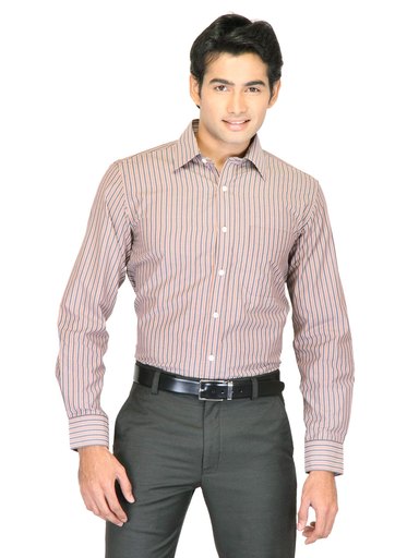 Mark Taylor Men Brown Striped Shirts