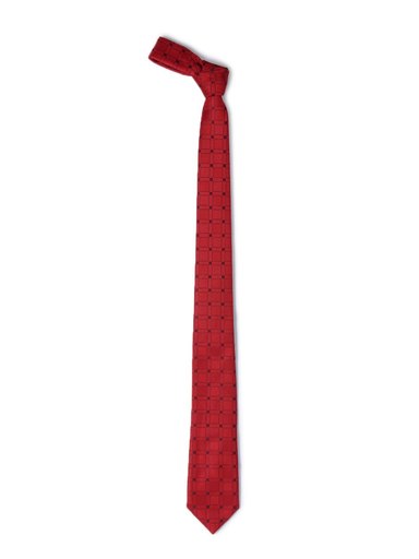 Park Avenue Men Red Tie