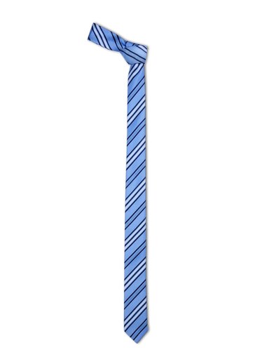 Reid & Taylor Men Blue Tie