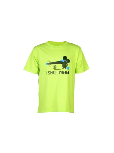 Tantra Unisex Printed Green Tshirts