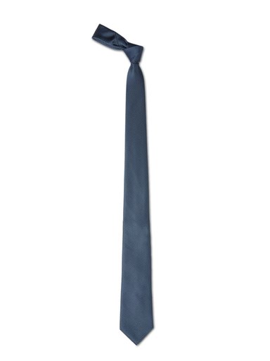 Park Avenue Men Blue Tie