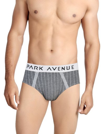 Park Avenue Men Grey Briefs