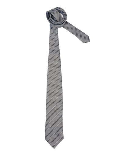 Peter England Men Elite Grey Tie