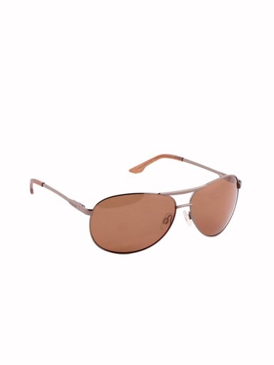 Polaroid Men Grey Sunglasses