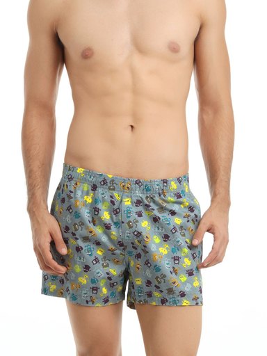 Myntra Grey Printed Boxers