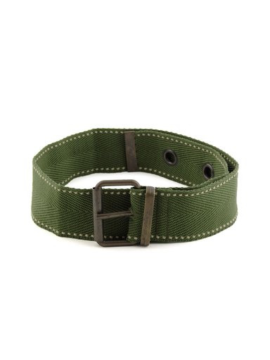 Peter England Men Casual Green Belt