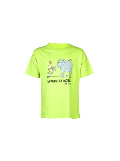 Tantra Unisex Printed Green Tshirts